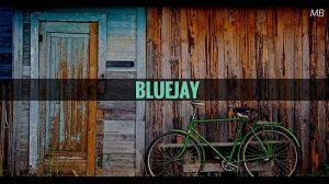 Bluejay Short Serio-comedy Script