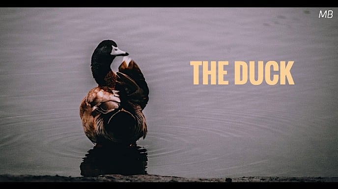 The Duck Short Period Piece Comedy