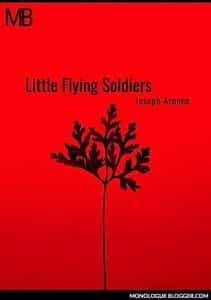 Little Flying Soldiers Playscript
