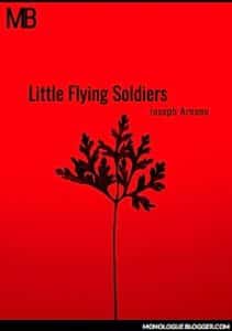 Little Flying Soldiers