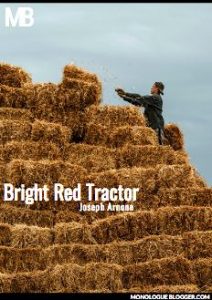 Bright Red Tractor by Joseph Arnone