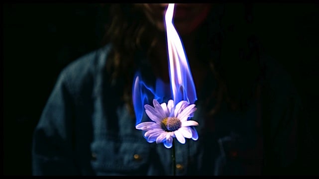 Burning Flowers Drama Monologue