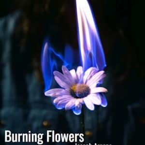 Burning Flowers Play Script
