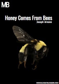 Honey Comes From Bees by Joseph Arnone