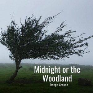 Midnight or the Woodland Play Script