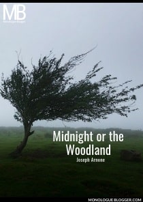 Midnight or the Woodland by Joseph Arnone