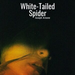 White-Tailed Spider